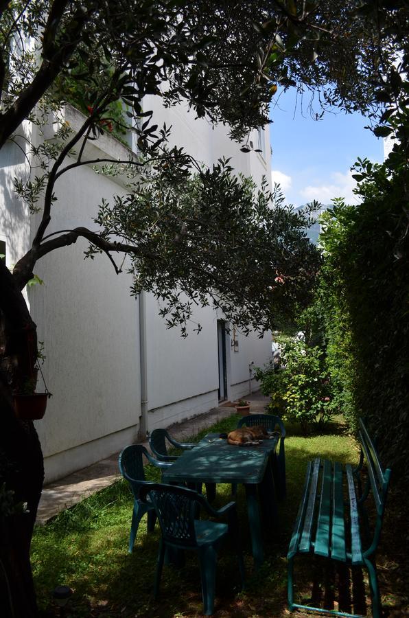 Apartament Amarillo *